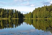 Jezioro Krzywe, fot. J. Koniecko