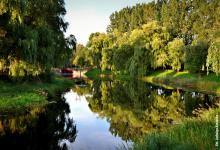 Widok na Kanał Augustowski a w oddali Śluza Białobrzegi, w wodzie odbijają się zielone konary drzew i błękitne niebo, fot. J. Koniecko