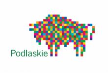 napis zielony Podlaskie - kolorowe kwadraciki tworzą kształt żubra- logo