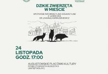 Dzikie zwierzęta w mieście – spotkanie informacyjno – edukacyjne. Zapraszamy na spotkanie informacyjno-edukacyjne!  Już 24 listopada (poniedziałek) o godz. 17:00 zapraszamy Państwa do sali widowiskowej Augustowskich Placówek Kultury na spotkanie poświęcone fascynującemu, ale i ważnemu tematowi dzikiej fauny w przestrzeni miejskiej. Wstęp wolny.