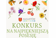 Konkurs na najładniejszą posesję 2022 roku "Augustowskie ogrody i balkony przyjazne pszczołom"