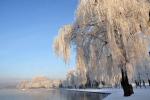 Zdjęcie bulwarów nad rzeką Nettą zimą, fot. J. Koniecko