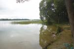 Zdjęcie zrobione w pochmurny dzień brzegu jeziora i fragmentu jeziora, w oddali trzciny są na jeziorze a przy brzegu rosnące wysokie drzewa.