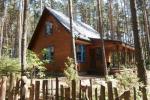 Zdjęcie przedstawia drewniany dom w lesie z charakterystycznymi niebieskimi okiennicami oraz tarasem. Dom znajduje się w otoczeniu lasu sosnowego.