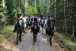 Riders on horses during a rally in the Augustów Primeval Forest, photo by J. Koniecko